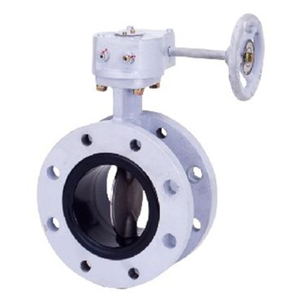 KITZ開滋氣動蝶閥BS-10NFJUE-50A