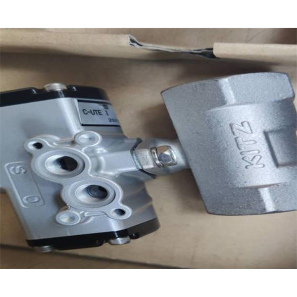 KITZ日本開滋IB型波紋管密封閥IB4BN1.4S-VFM